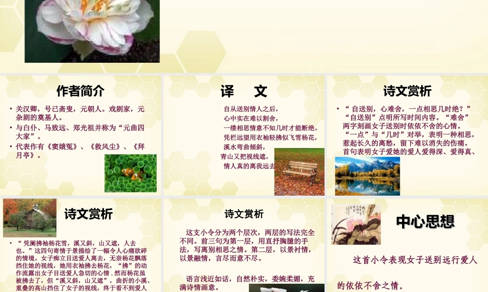 高中语文(关汉卿散曲)其一(四块玉·别情)课件 粤教版选修(唐诗宋词选读) 课件