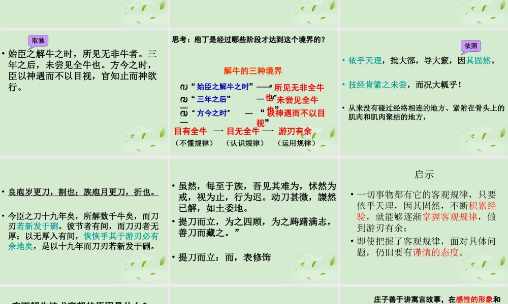 高中语文(庖丁解牛)课件 新人教版选修(中国现代诗歌散文欣赏) 课件