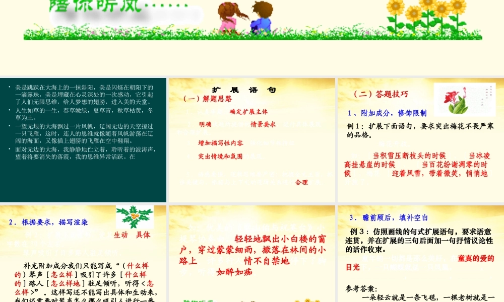 高三语文 扩展语句压缩语段课件