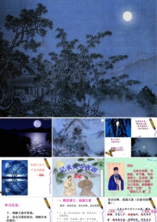 记承天诗夜游-(2)