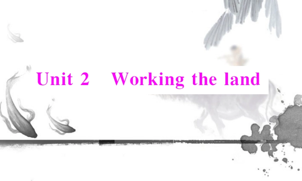 高中英语 Unit2 Section Ⅰ Warming Up & Reading 配套课件 新人教版必修4 课件