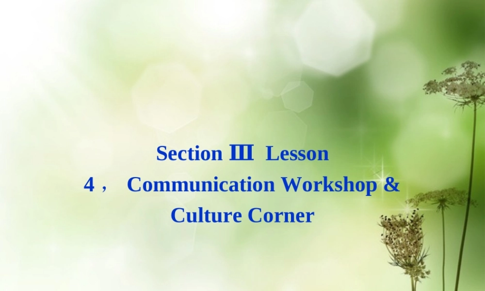 高中英语 Unit14 SectionⅢ Lesson 4，Communication Workshop & Culture Corner精品课件 北师大版必修5 课件