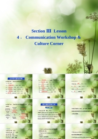 高中英语 Unit14 SectionⅢ Lesson 4，Communication Workshop & Culture Corner精品课件 北师大版必修5 课件