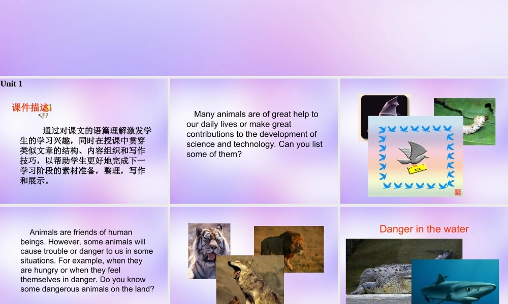 高中英语 Unit1 The world of our senses Project课件 牛津译林版必修3 课件