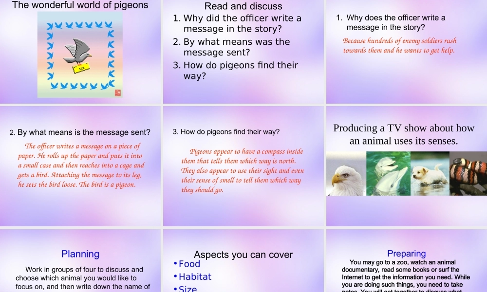 高中英语 Unit1 The world of our senses Project课件 牛津译林版必修3 课件