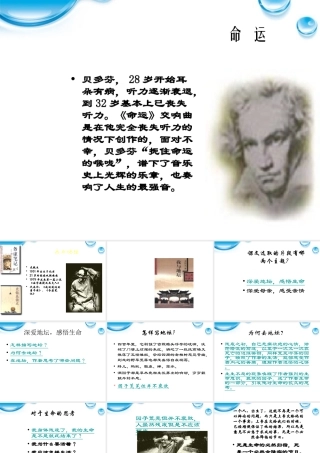高中语文 我与地坛精品课件 苏教版必修2 课件
