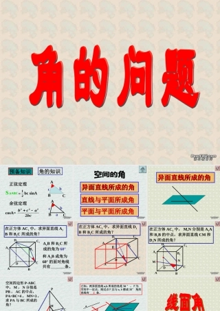 高二下数学期终复习专题系列1 角的问题 高二数学下学期期终复习专题系列课件集 新课标 人教版 高二数学下学期期终复习专题系列课件集 新课标 人教版