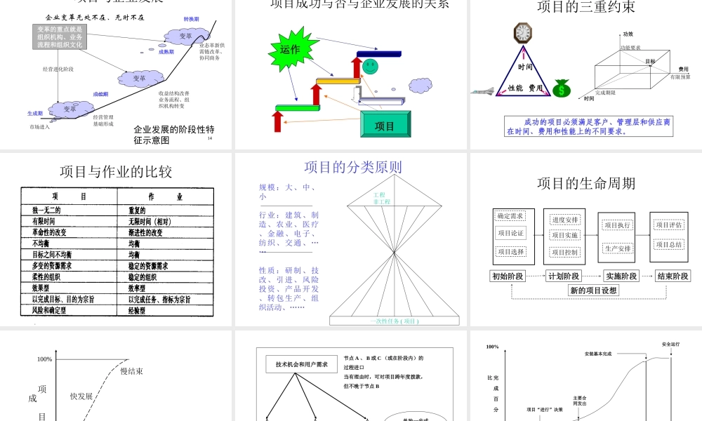 1.项目管理概论