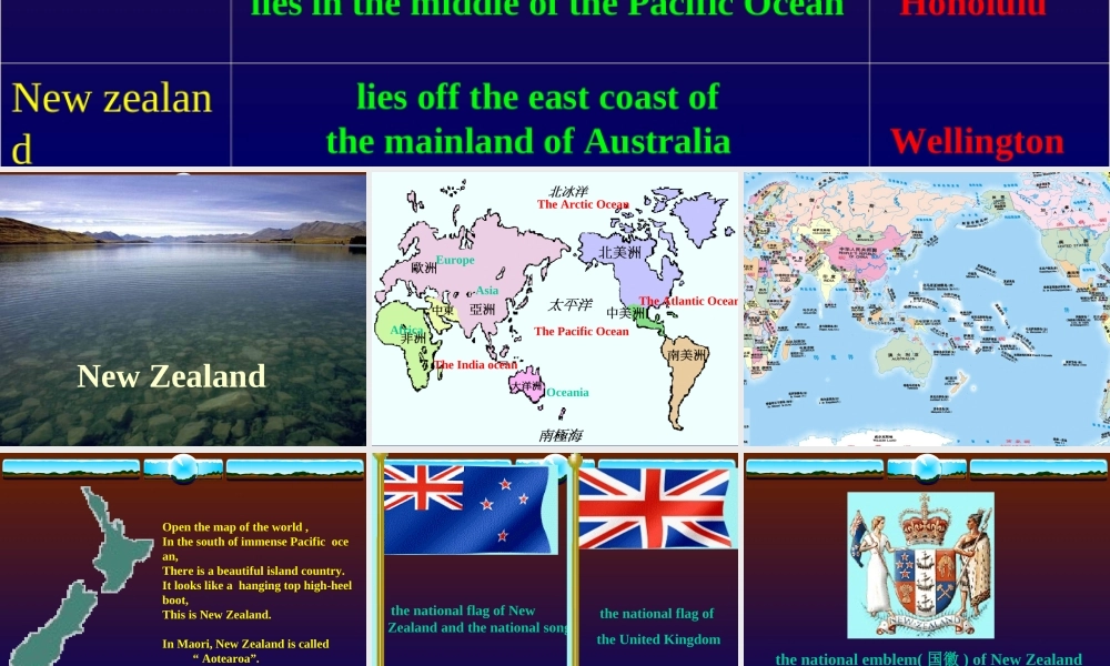 高中英语Unit 18 New Zealand-reading课件旧人教第一册下 课件