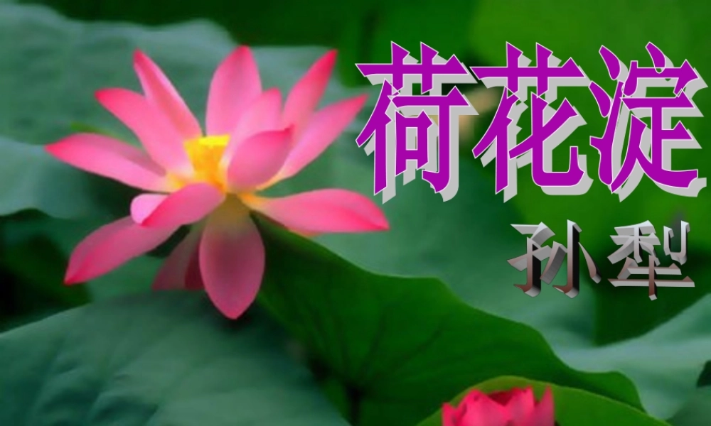 高三语文上册荷花淀课件华东师大版 课件
