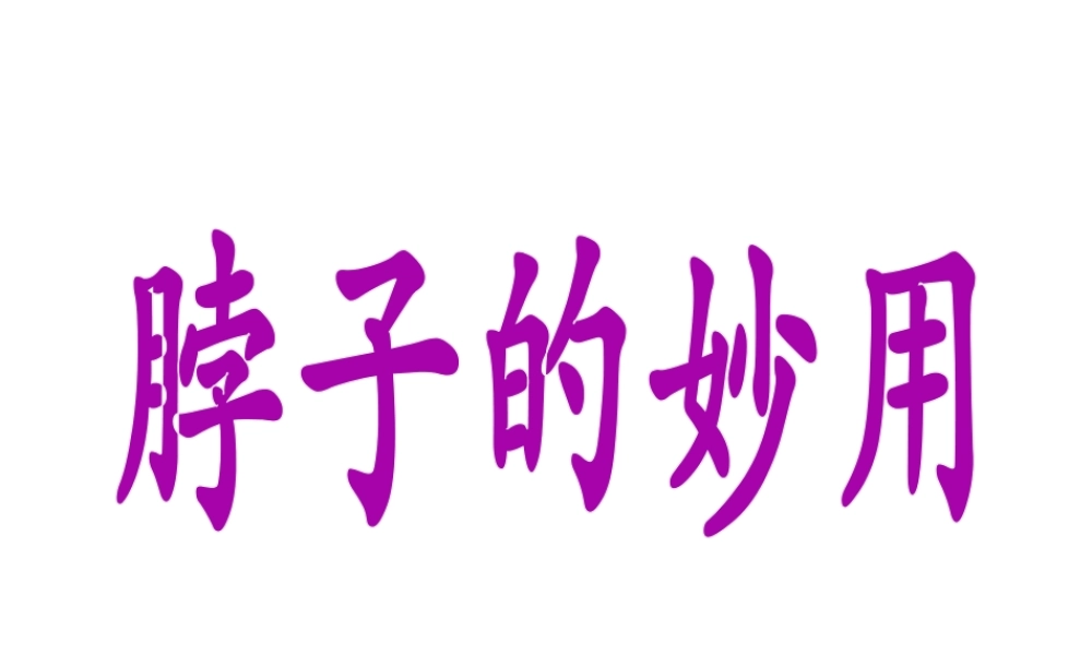 《脖子的妙用》课件1