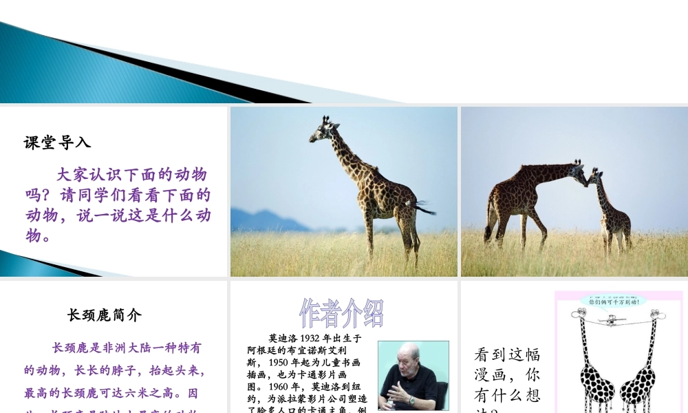 《脖子的妙用》课件1