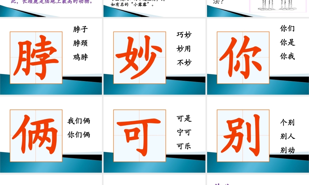 《脖子的妙用》课件1