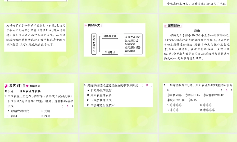 秋七年级历史上册 第1单元 史前时期 中国境内早期人类与文明的起源 第2课 原始农耕生活作业课件 新人教版 课件