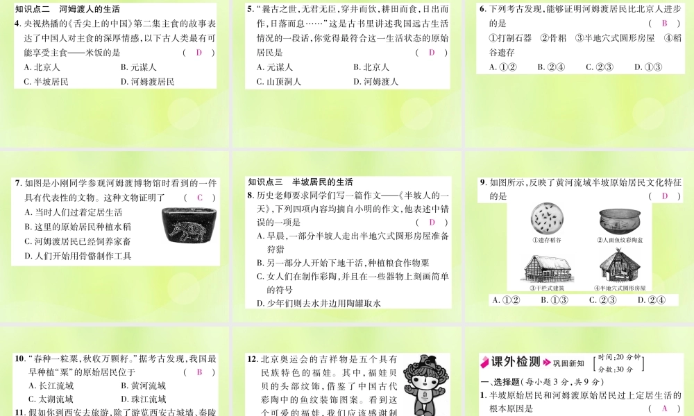 秋七年级历史上册 第1单元 史前时期 中国境内早期人类与文明的起源 第2课 原始农耕生活作业课件 新人教版 课件