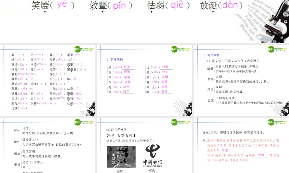 高中语文 第一单元第1课(林黛玉进贾府)课件(1) 新人教版必修3 课件