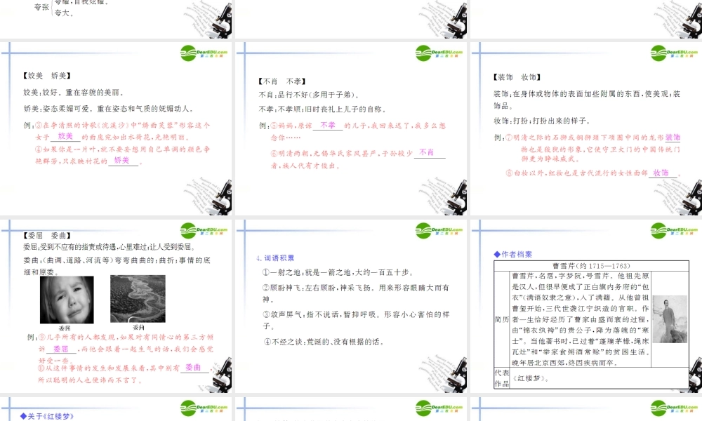 高中语文 第一单元第1课(林黛玉进贾府)课件(1) 新人教版必修3 课件