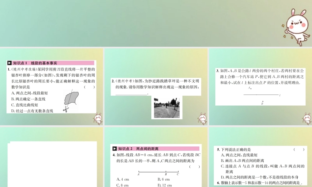 秋七年级数学上册 第4章 几何图形初步 4.2 直线、射线、线段 第3课时 线段的基本事实及两点间的距离习题课件 (新版)新人教版 课件