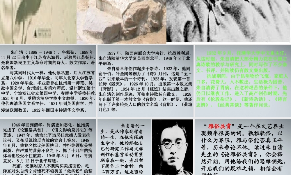 高中语文 1.1(论雅俗共赏)课件 语文版必修5  课件