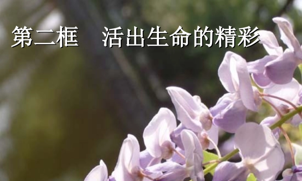 活出生命的精彩