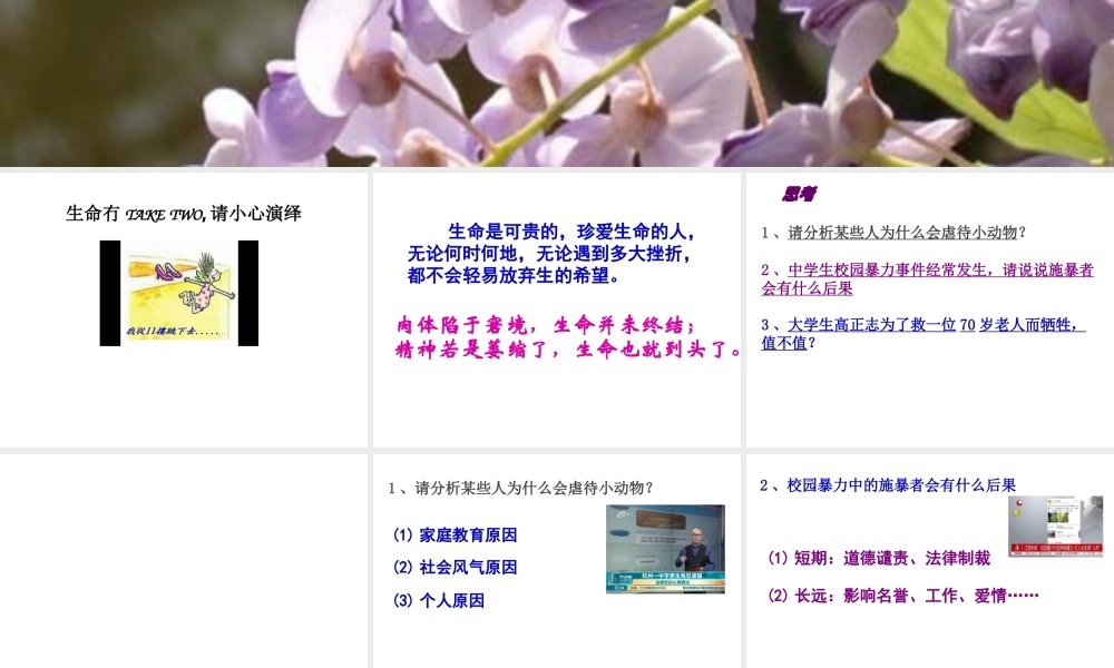 活出生命的精彩