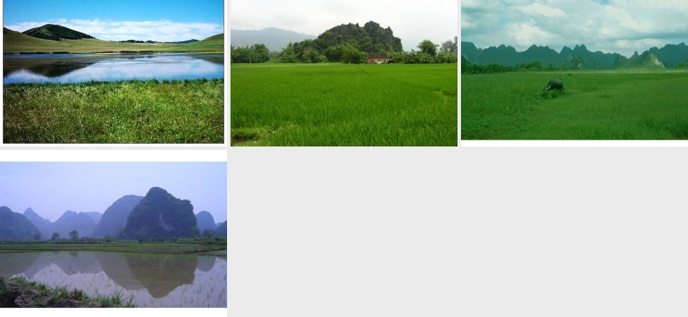 萧萧池塘暮导入课件