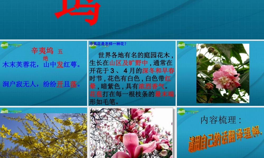 高中语文 (辛夷坞)课件 粤教版选修1 课件