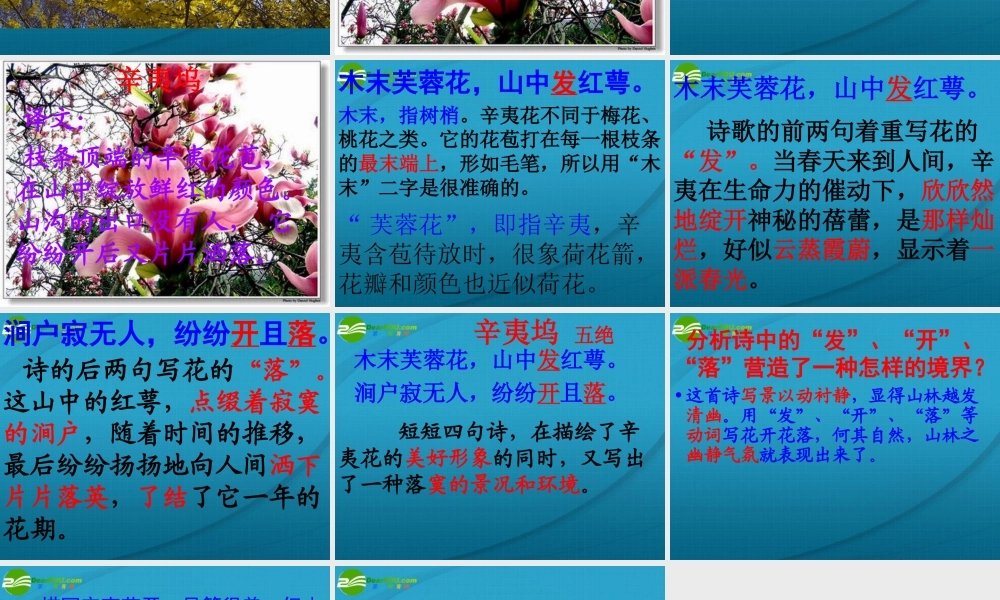 高中语文 (辛夷坞)课件 粤教版选修1 课件