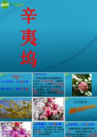 高中语文 (辛夷坞)课件 粤教版选修1 课件