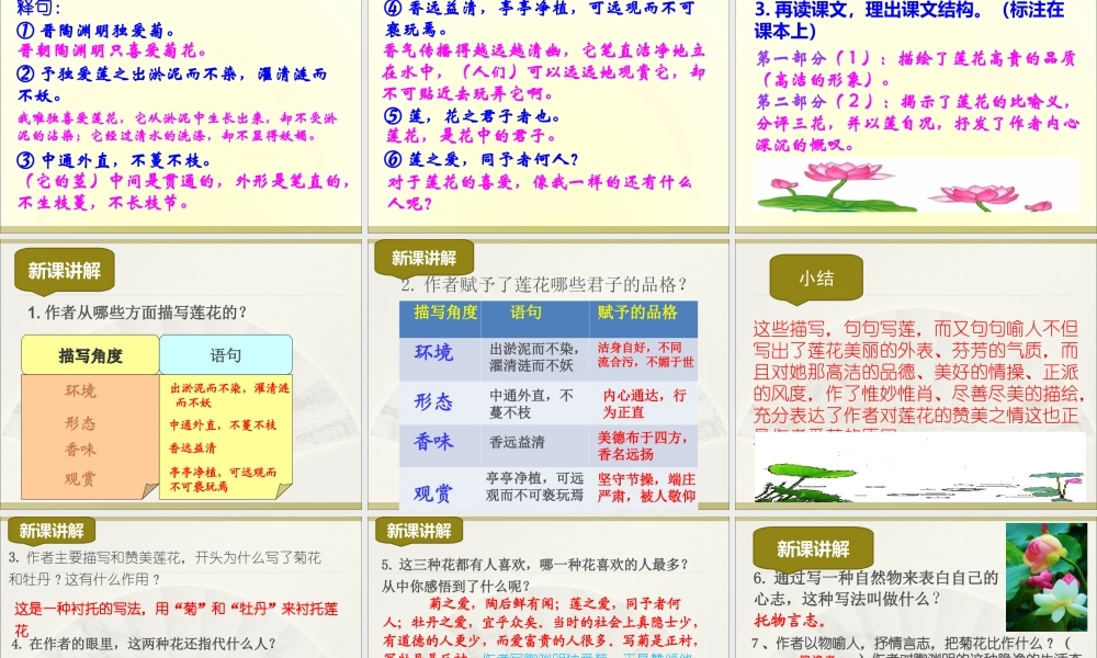 19.爱莲说(1)