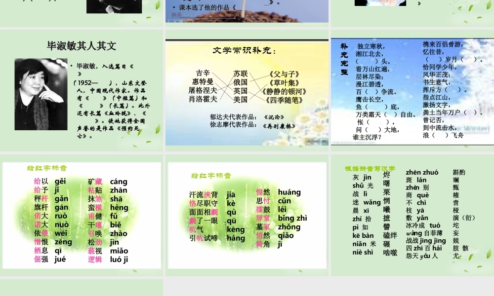 高中语文 第一专题(向青春举杯)课件2 苏教版必修1 课件