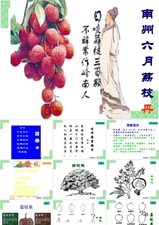 高中语文南州六月荔枝丹课件2 人教版 课件