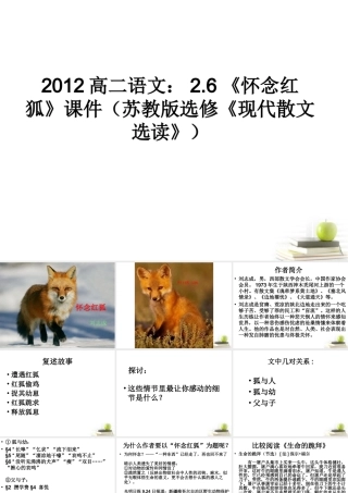 语文 2.6(怀念红狐)课件 苏教版选修(现代散文选读) 课件