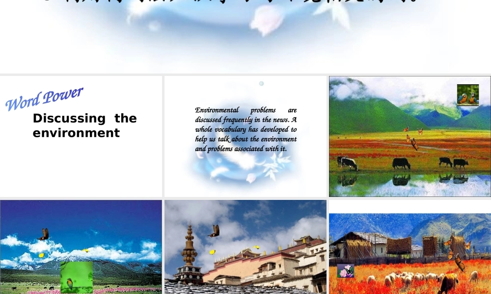 高中英语必修5Unit 2 The environment-Word powerppt 课件