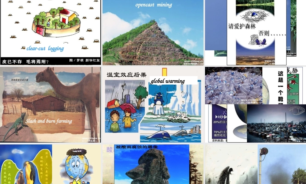 高中英语必修5Unit 2 The environment-Word powerppt 课件