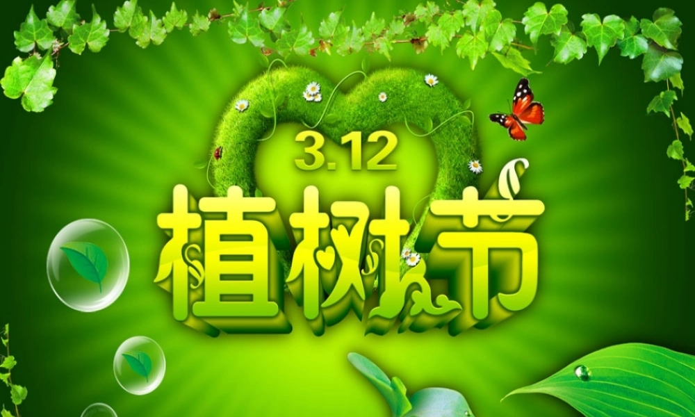 《春天的节日--植树节》