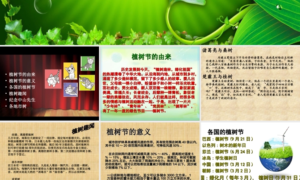 《春天的节日--植树节》