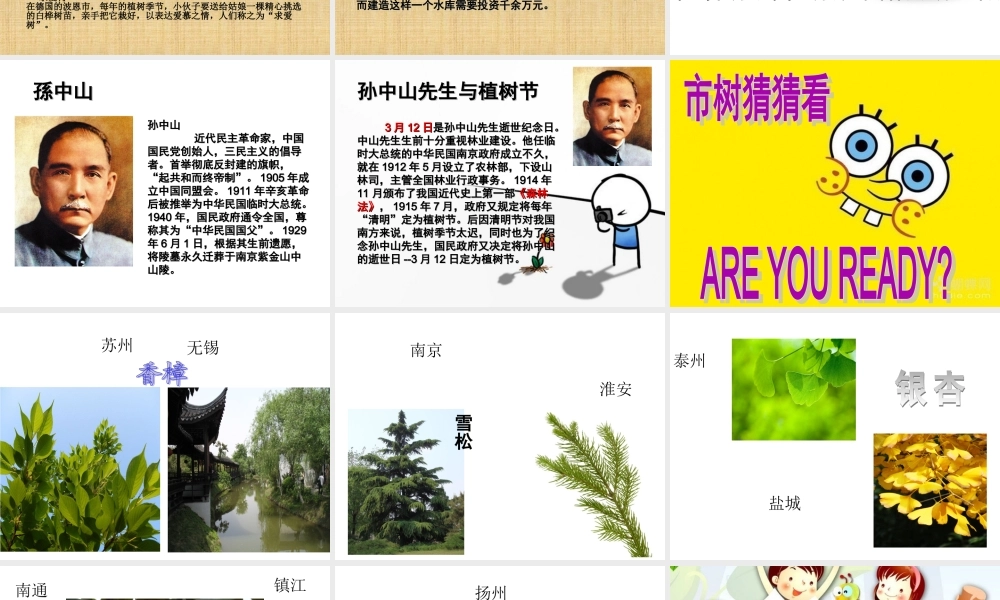 《春天的节日--植树节》