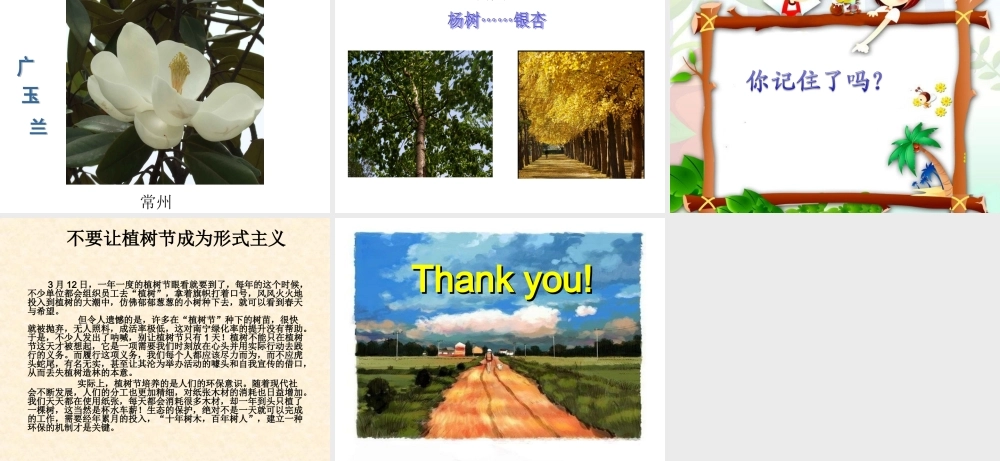 《春天的节日--植树节》