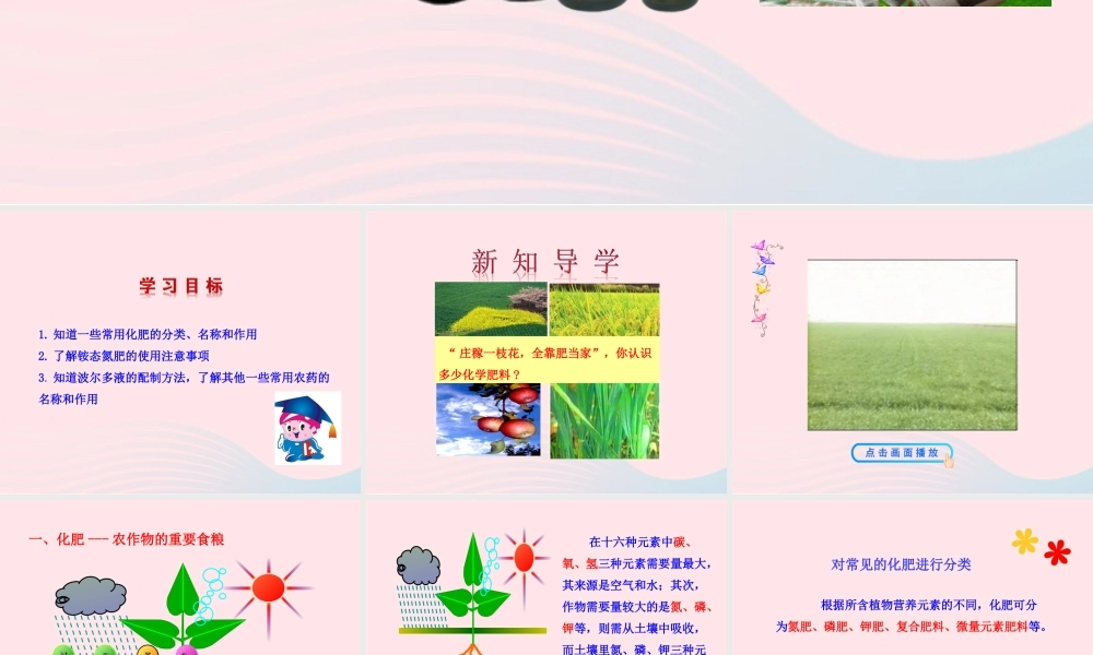 第三节  化学与农业生产课件 九年级化学下册 第十一单元 第三节 化学与农业生产课件 鲁教版