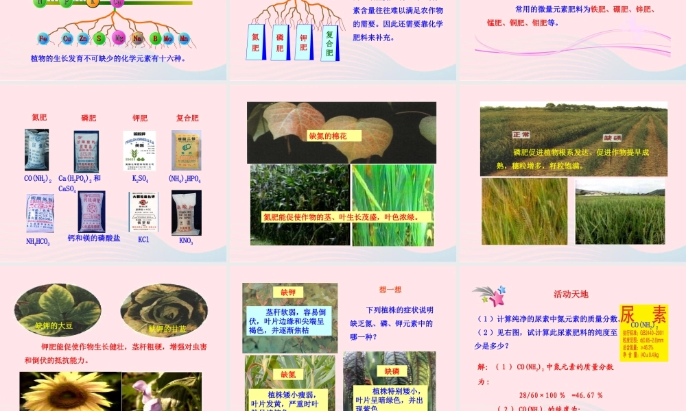 第三节  化学与农业生产课件 九年级化学下册 第十一单元 第三节 化学与农业生产课件 鲁教版