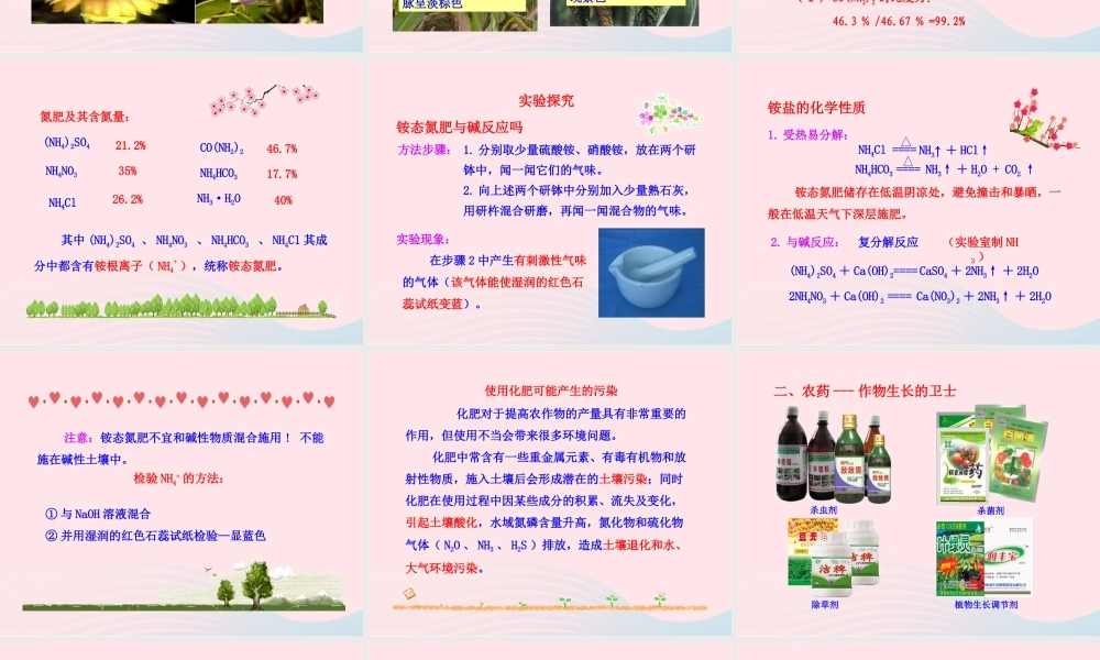 第三节  化学与农业生产课件 九年级化学下册 第十一单元 第三节 化学与农业生产课件 鲁教版