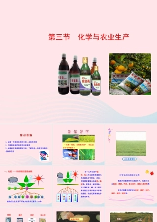 第三节  化学与农业生产课件 九年级化学下册 第十一单元 第三节 化学与农业生产课件 鲁教版