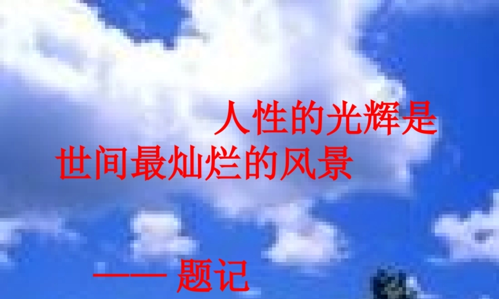 高中语文金岳霖先生 课件苏教版必修2 课件