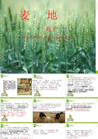 高中语文 麦地课件 语文版必修1  课件