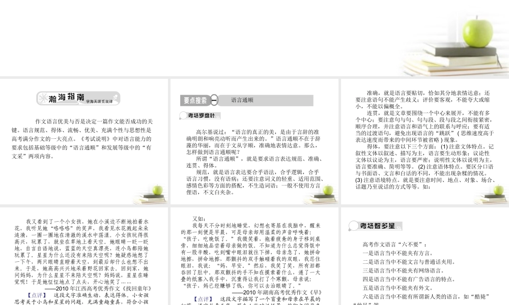 高考语文总复习 专题十七 技巧篇 语言课件