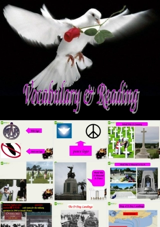 高中英语 Module6(War and Peace)introduction,reading and voca课件2 外研版选修6 课件