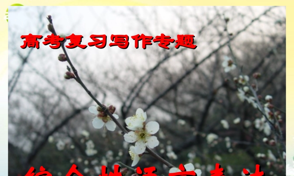 高考语文 综合性语言表达复习写作专题课件 新人教版 课件