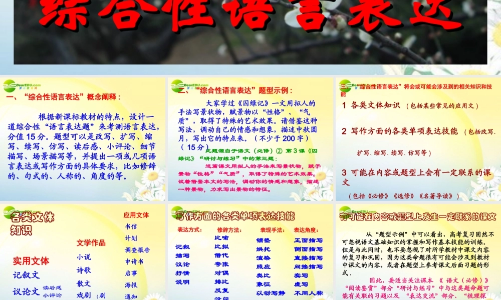 高考语文 综合性语言表达复习写作专题课件 新人教版 课件