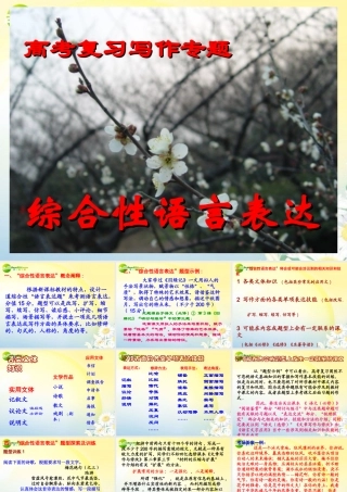 高考语文 综合性语言表达复习写作专题课件 新人教版 课件